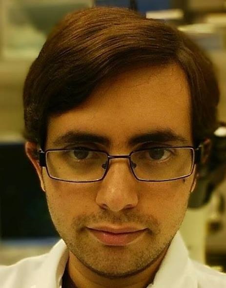 Picture of Tom Ben-Arye, Ph.D.